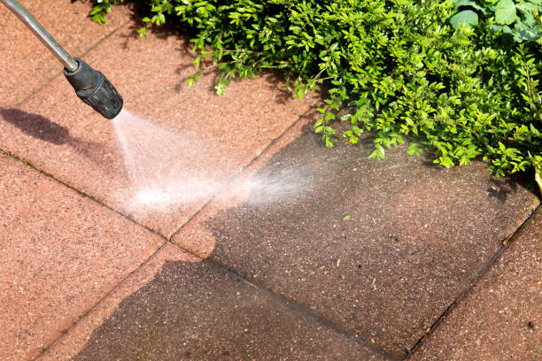 Best Pressure Washing Near Me  in Flatonia, TX