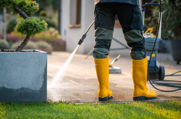 Best Best Pressure Washing Companies  in Flatonia, TX